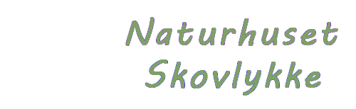 Naturhuset-Skovlykke - Privat vuggestue og børnehave